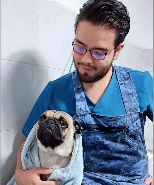 BAÑO CANINO