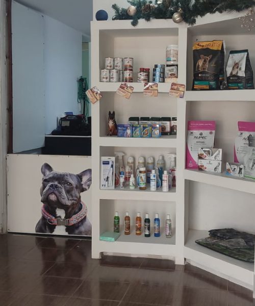 PET-SHOP
