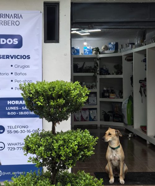 FACHADA VETERINARIA CERBERO